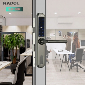 Khoá điện tử KADOL KD-300